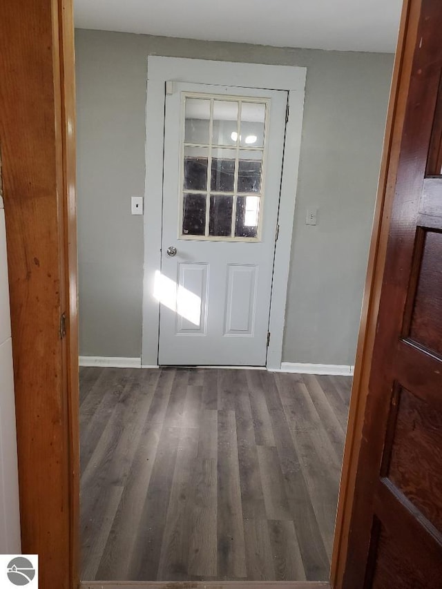 entryway featuring hardwood / wood-style flooring