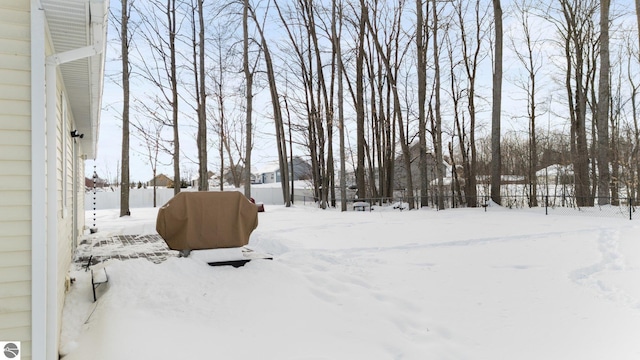 view of yard covered in snow