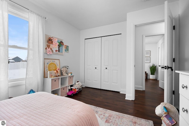 bedroom with dark hardwood / wood-style flooring and a closet