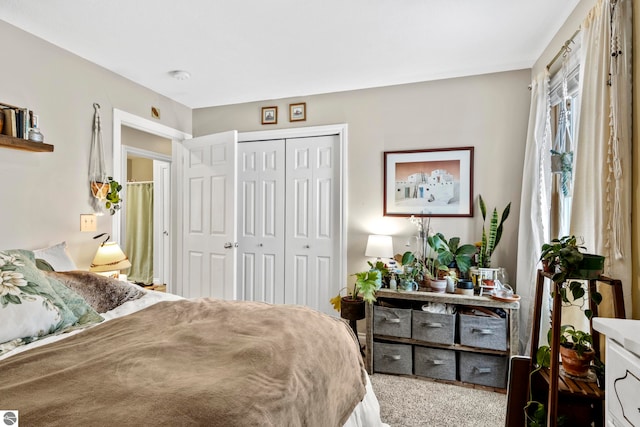 bedroom with a closet and carpet