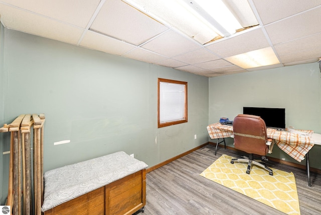 office space featuring a drop ceiling and light hardwood / wood-style flooring