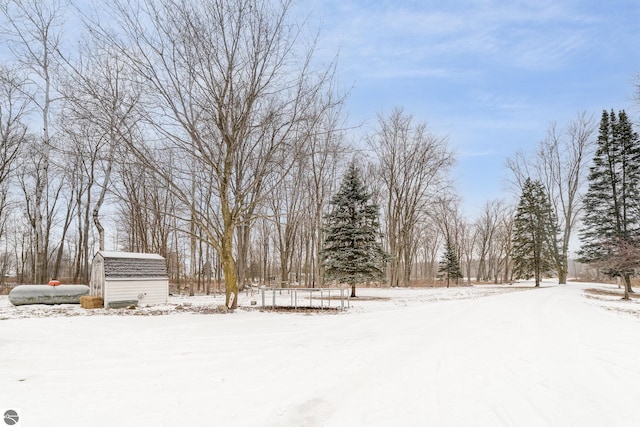 snowy yard with a storage shed