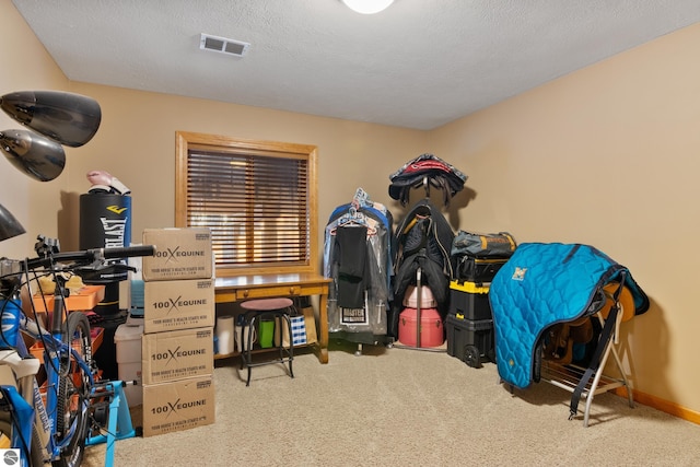 interior space with carpet flooring and a textured ceiling