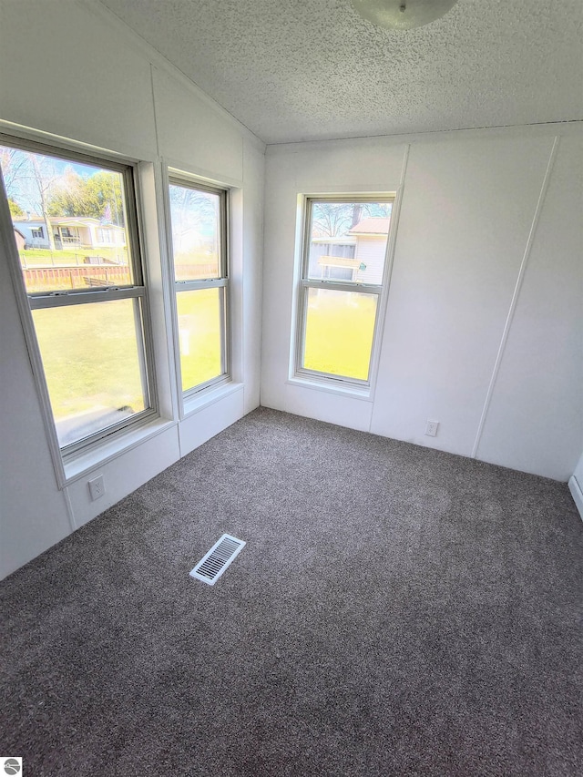 358 Twin Lake Rd, Beaverton, MI 48612 - carpeted spare room featuring a textured ceiling