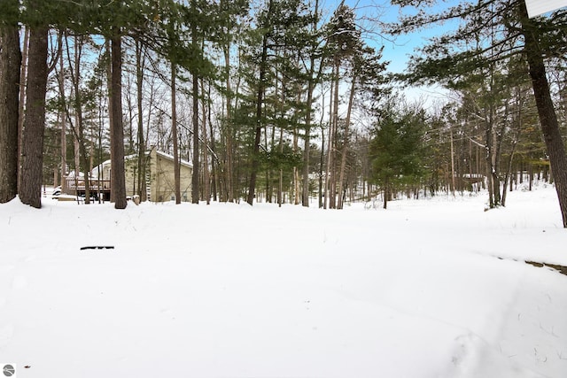 view of yard covered in snow