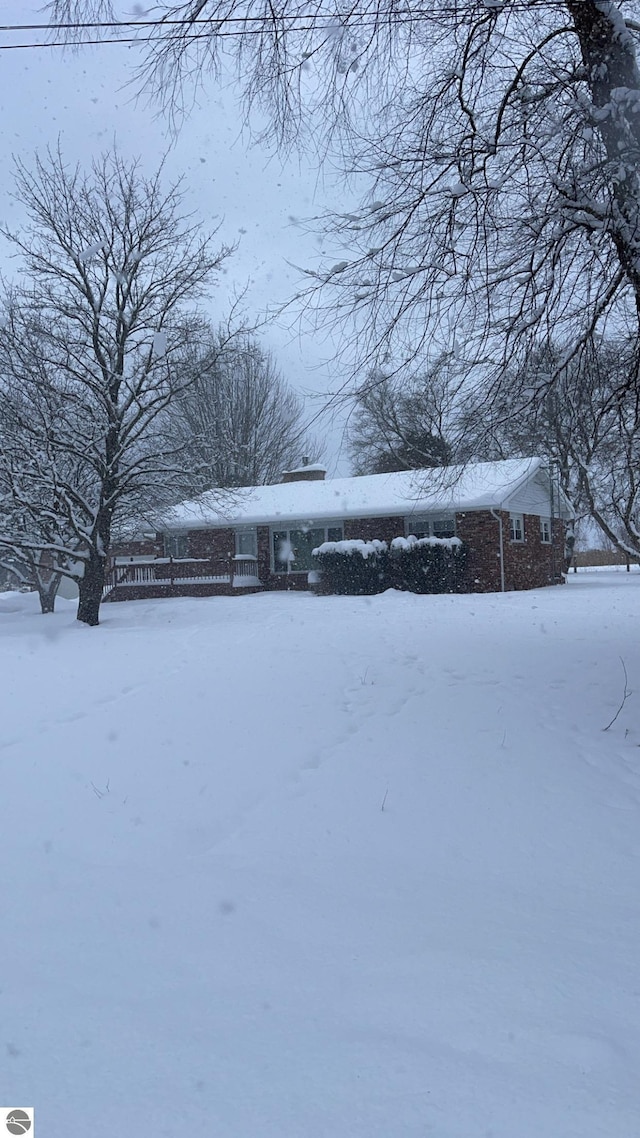 view of yard covered in snow