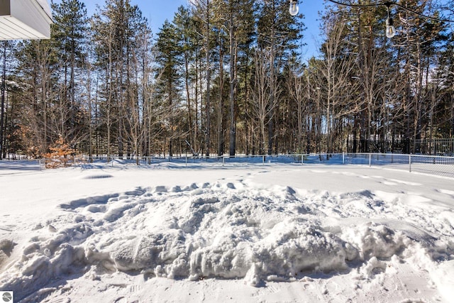 view of yard layered in snow