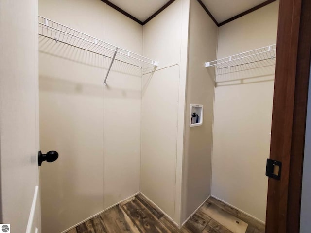 washroom featuring crown molding, hookup for a washing machine, and dark wood-type flooring