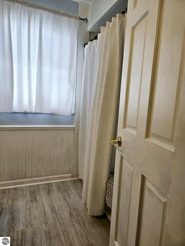 bathroom featuring wood-type flooring