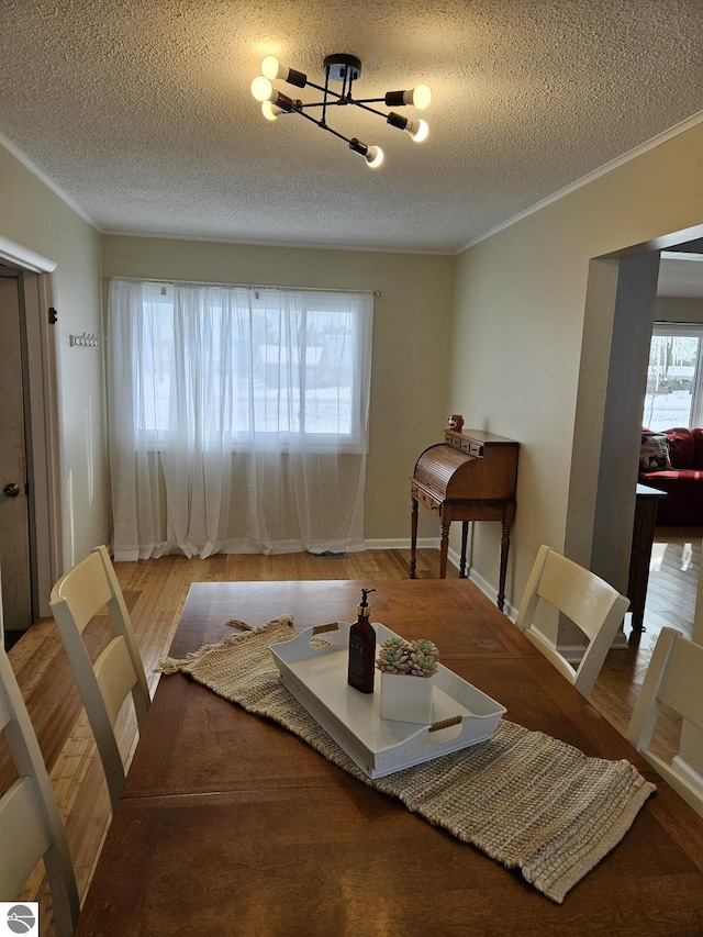 dining room featuring hardwood / wood-style floors, crown molding, and a textured ceiling