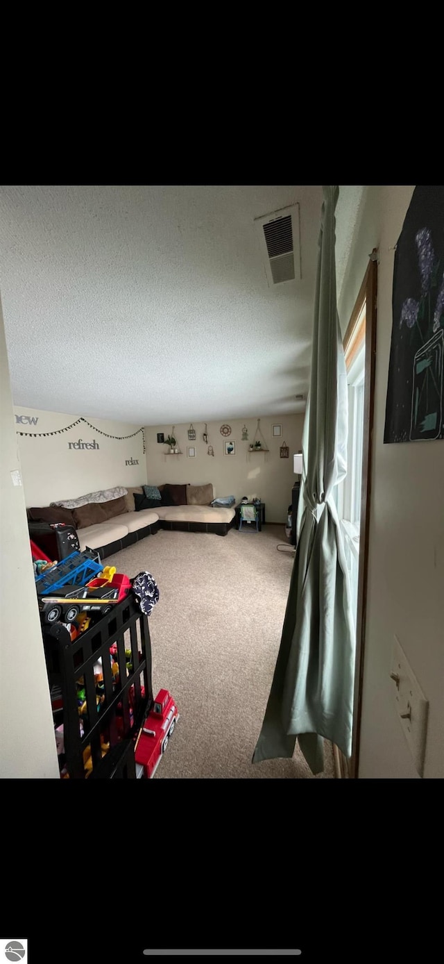 miscellaneous room with carpet floors