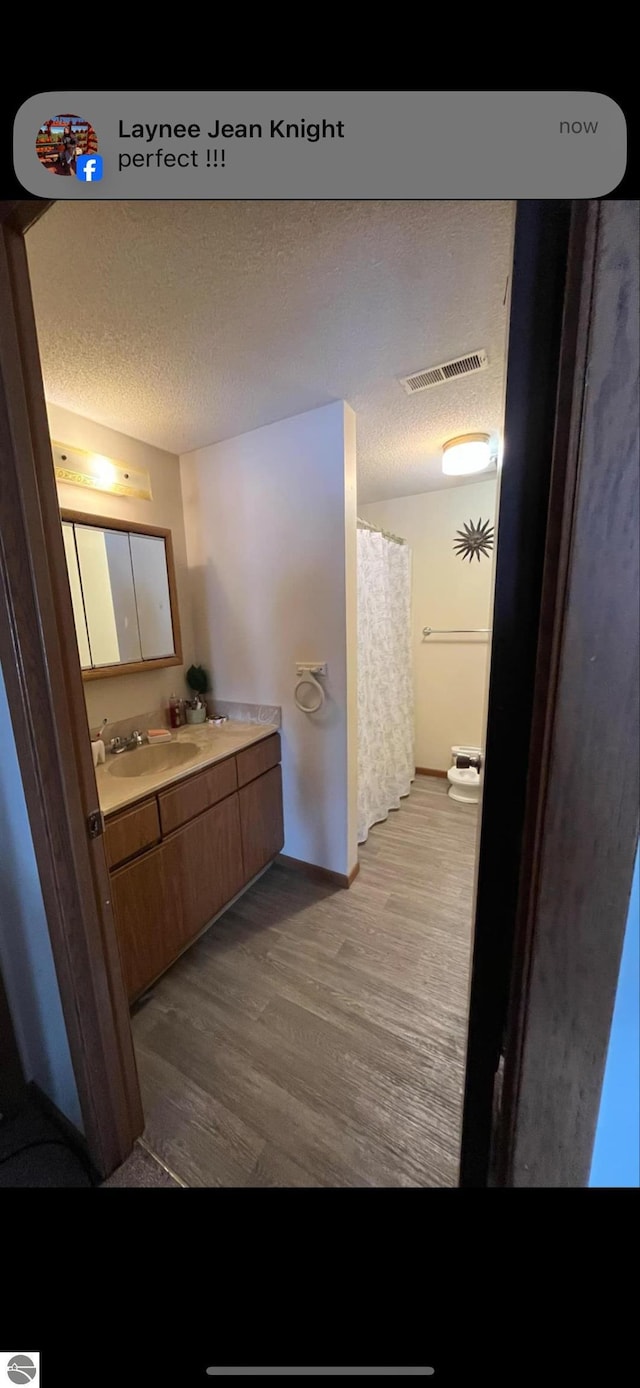 bathroom featuring vanity, wood-type flooring, and a textured ceiling