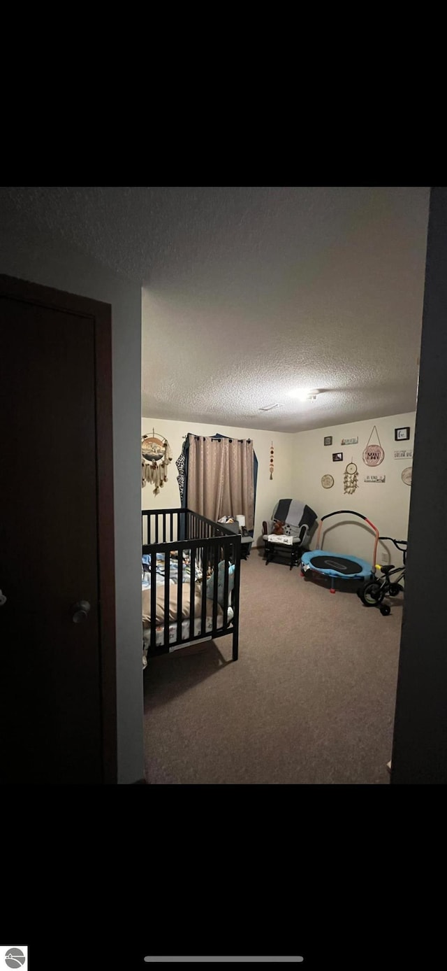 bedroom featuring carpet floors and a textured ceiling