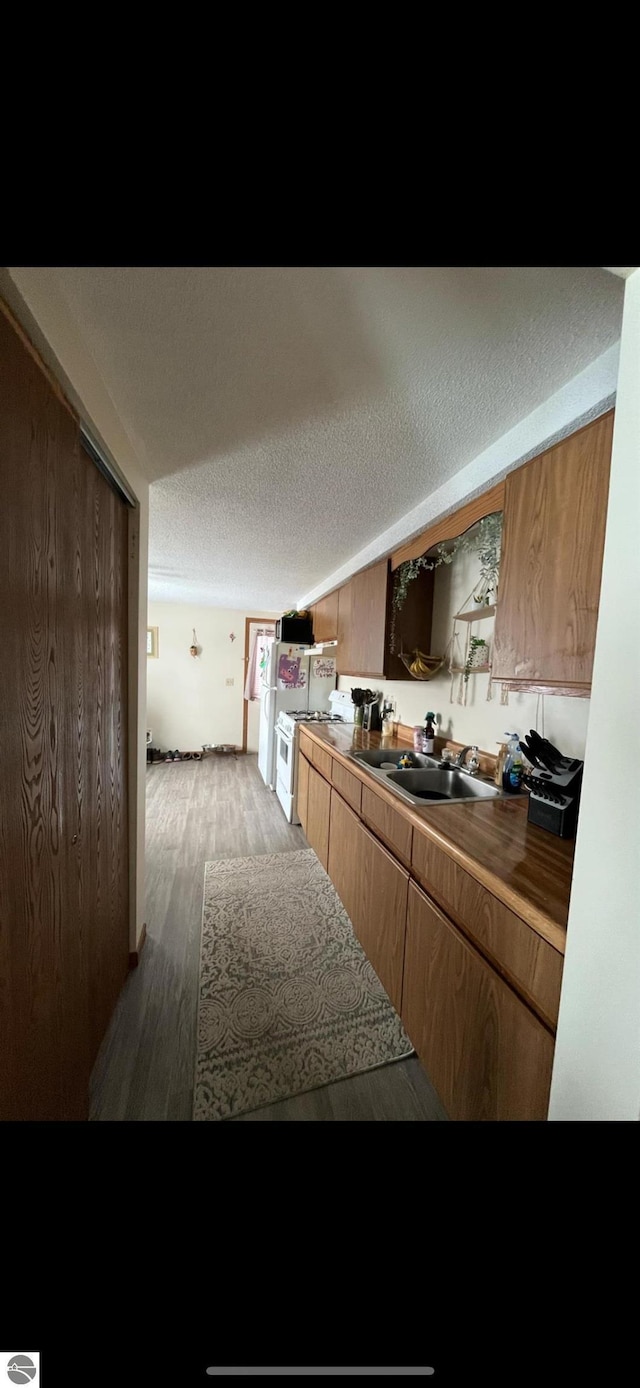 kitchen featuring dark hardwood / wood-style flooring, sink, and a textured ceiling