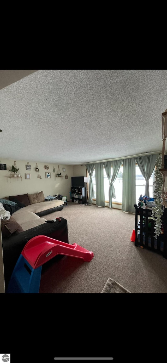 living room with carpet floors and a textured ceiling