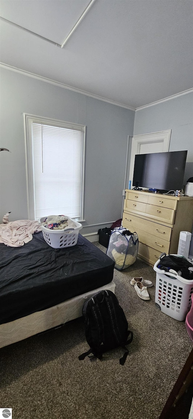 carpeted bedroom with crown molding