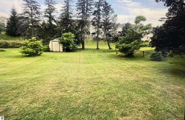 view of yard featuring a shed