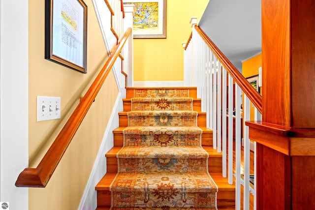 staircase featuring hardwood / wood-style flooring