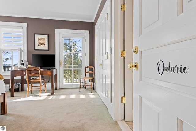 entryway featuring light colored carpet