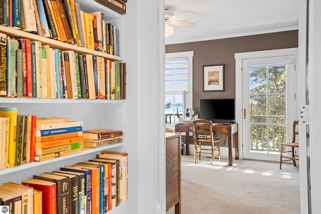 interior space with a ceiling fan, crown molding, and carpet