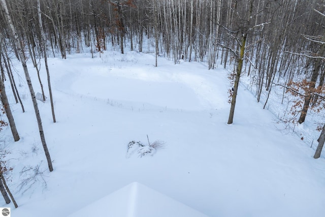 view of snowy yard