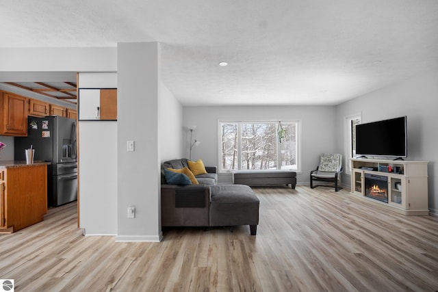 living room featuring light hardwood / wood-style flooring