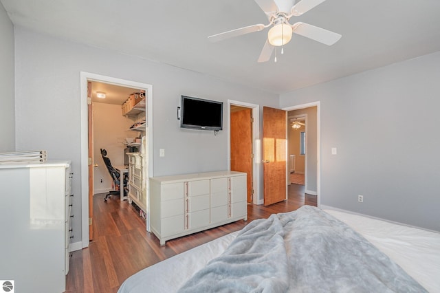 bedroom with a walk in closet, a closet, ceiling fan, and light wood-style flooring