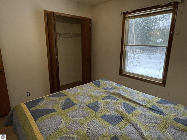 bedroom with multiple windows and a closet