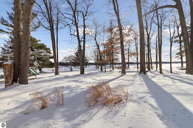 view of snowy yard