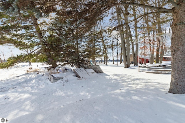 view of yard covered in snow