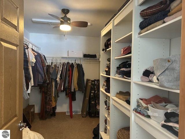 walk in closet with ceiling fan, carpet flooring, and visible vents