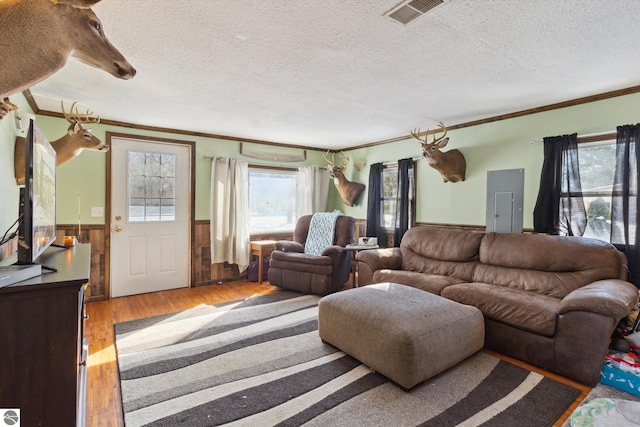 living room featuring visible vents, a wainscoted wall, crown molding, a textured ceiling, and light wood-style floors