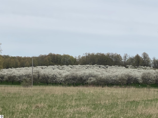 view of landscape featuring a rural view