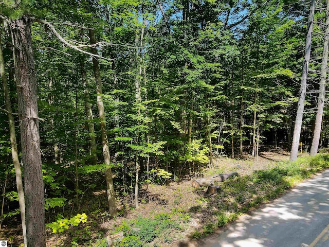 Listing photo 2 for LOT7 Eastern Rd, Traverse City MI 49686