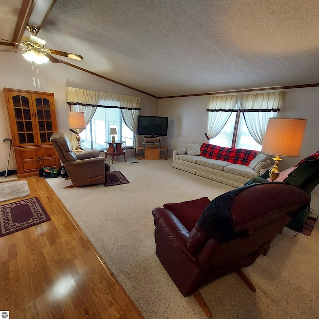 living area featuring lofted ceiling, ornamental molding, a textured ceiling, and wood finished floors