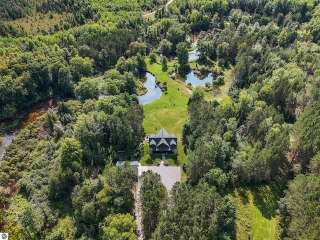 drone / aerial view with a water view and a view of trees