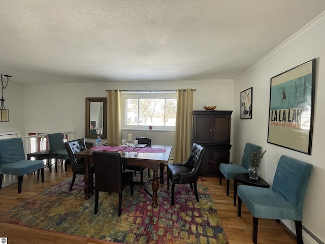 520 Fairlane, Alma, MI 48801 - dining room with wood finished floors, a textured ceiling, and crown molding