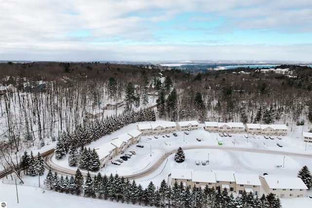 view of snowy aerial view