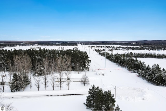 view of snowy aerial view