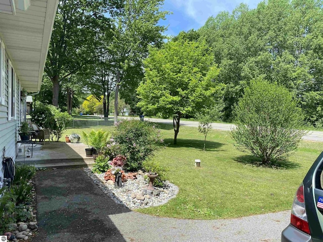 view of yard with a patio and fence