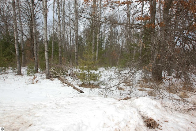 Listing photo 2 for LOT49 Merilyn Ln, Alger MI 48610