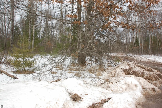 Listing photo 3 for LOT49 Merilyn Ln, Alger MI 48610