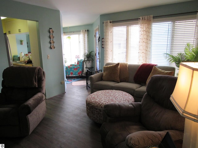 living room featuring dark wood finished floors