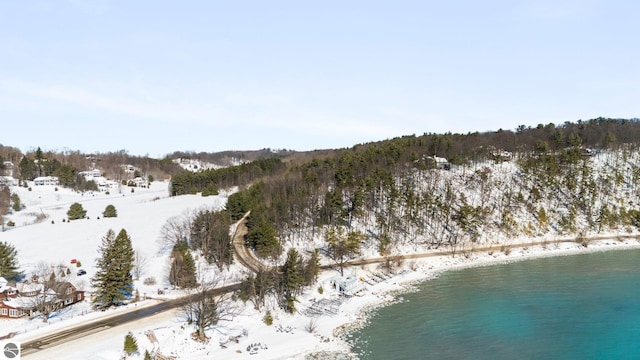 snowy aerial view with a water view