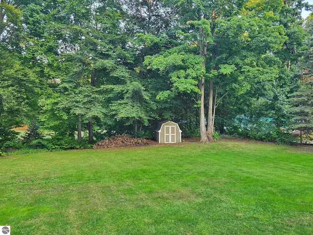 view of yard with a storage shed and an outdoor structure