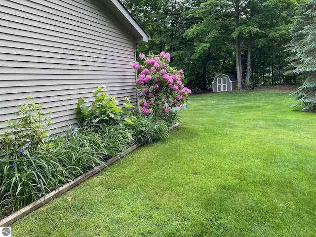 view of yard with an outdoor structure and a storage unit