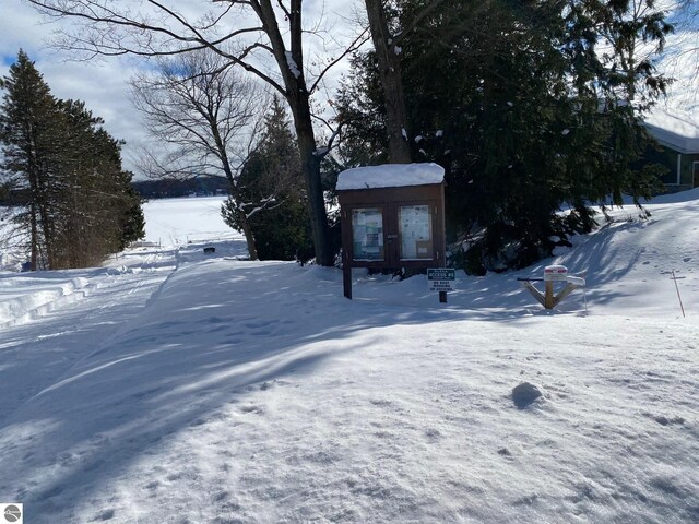 view of yard covered in snow