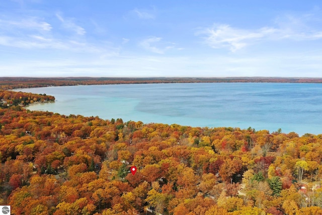 aerial view featuring a water view and a wooded view