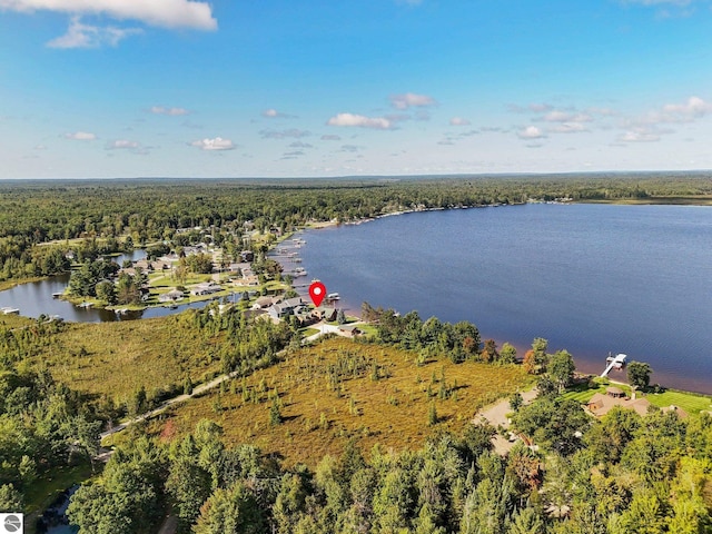 birds eye view of property with a forest view and a water view