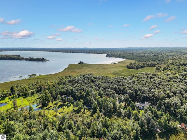 birds eye view of property featuring a forest view and a water view